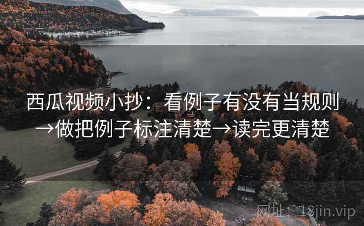 西瓜视频小抄：看例子有没有当规则→做把例子标注清楚→读完更清楚