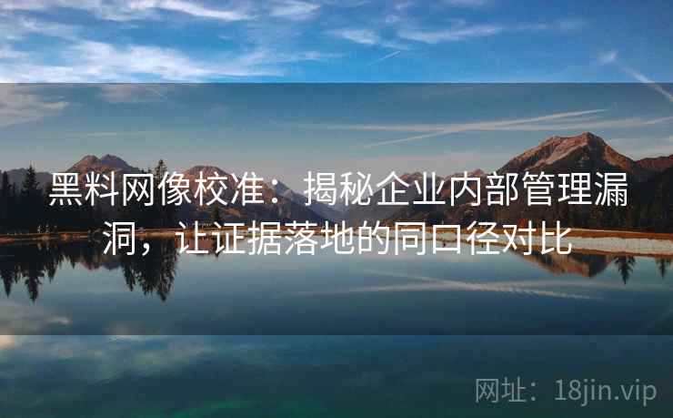 黑料网像校准:揭秘企业内部管理漏洞,让证据落地的同口径对比 黑料网像校准:揭秘企业内部管理漏洞,让证据落地的同口径对比